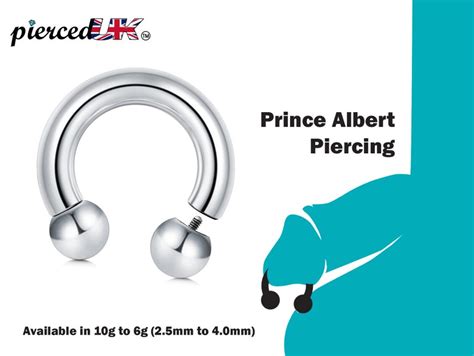 Strongly considering getting a prince albert. What are the ...